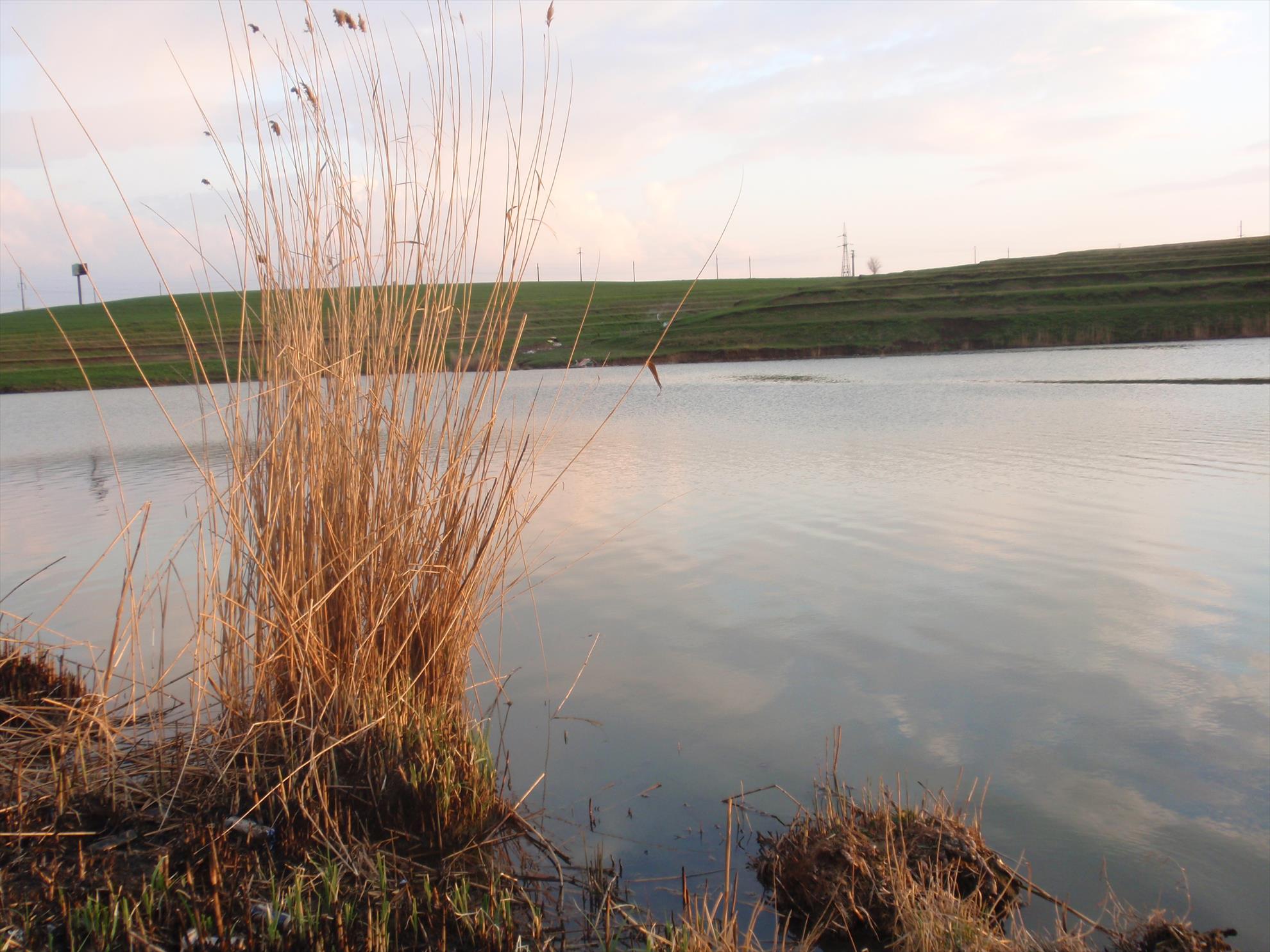 Din viata noastra... - p41300511.JPG